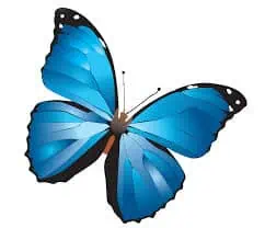 Kelebek Sohbet Sitesi